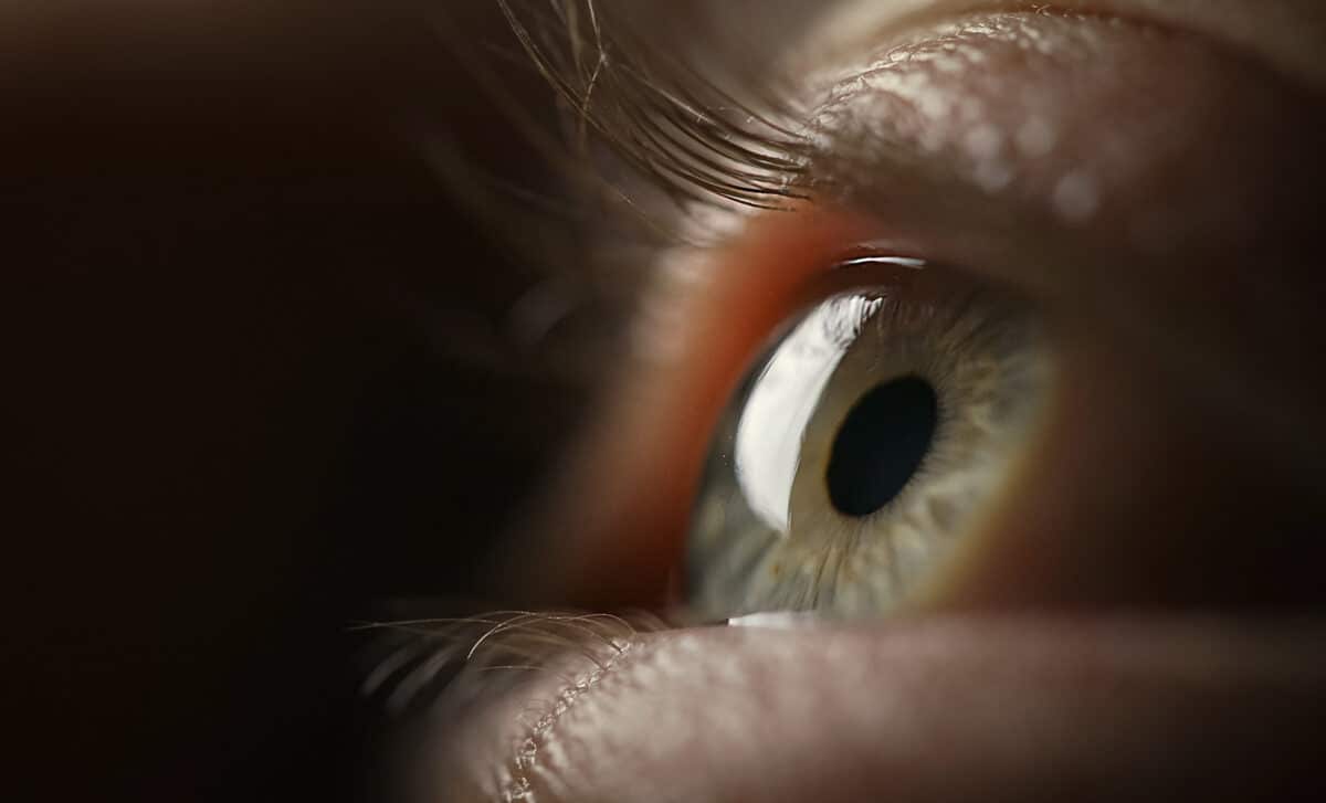 Scientists Believe Your Eye’s Blind Spot Holds the Key to Understanding Consciousness