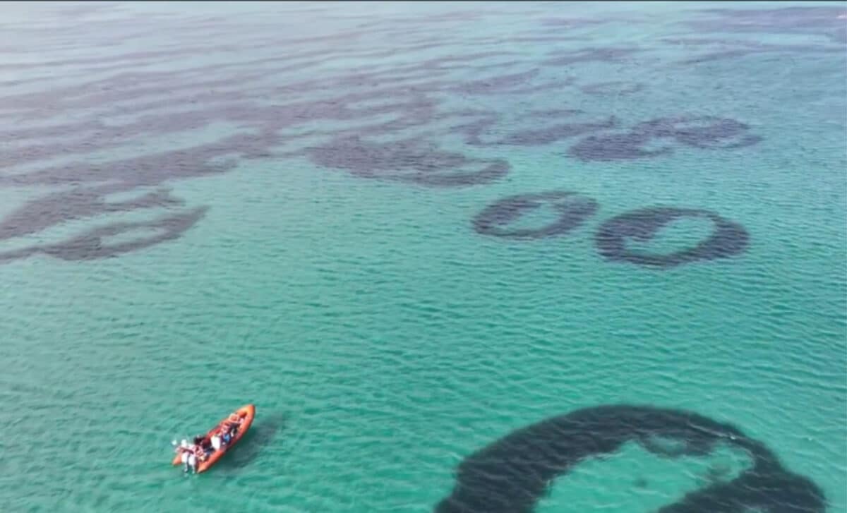 Scientists Find Strange Circles in Scottish Waters, But They Might Not Last Long