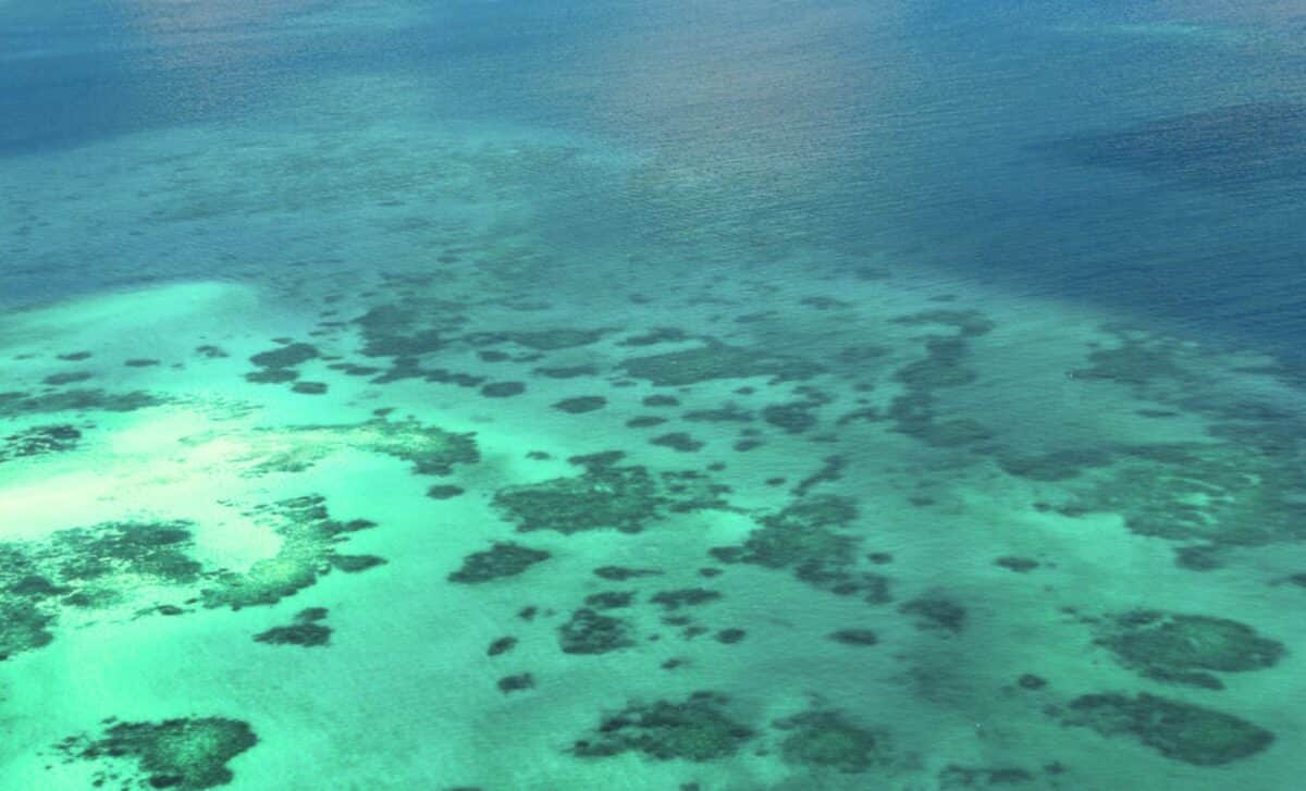 A 512-Million-Year-Old Fossil Site in China Reveals Strange Sea Creatures From an Ancient Underwater World