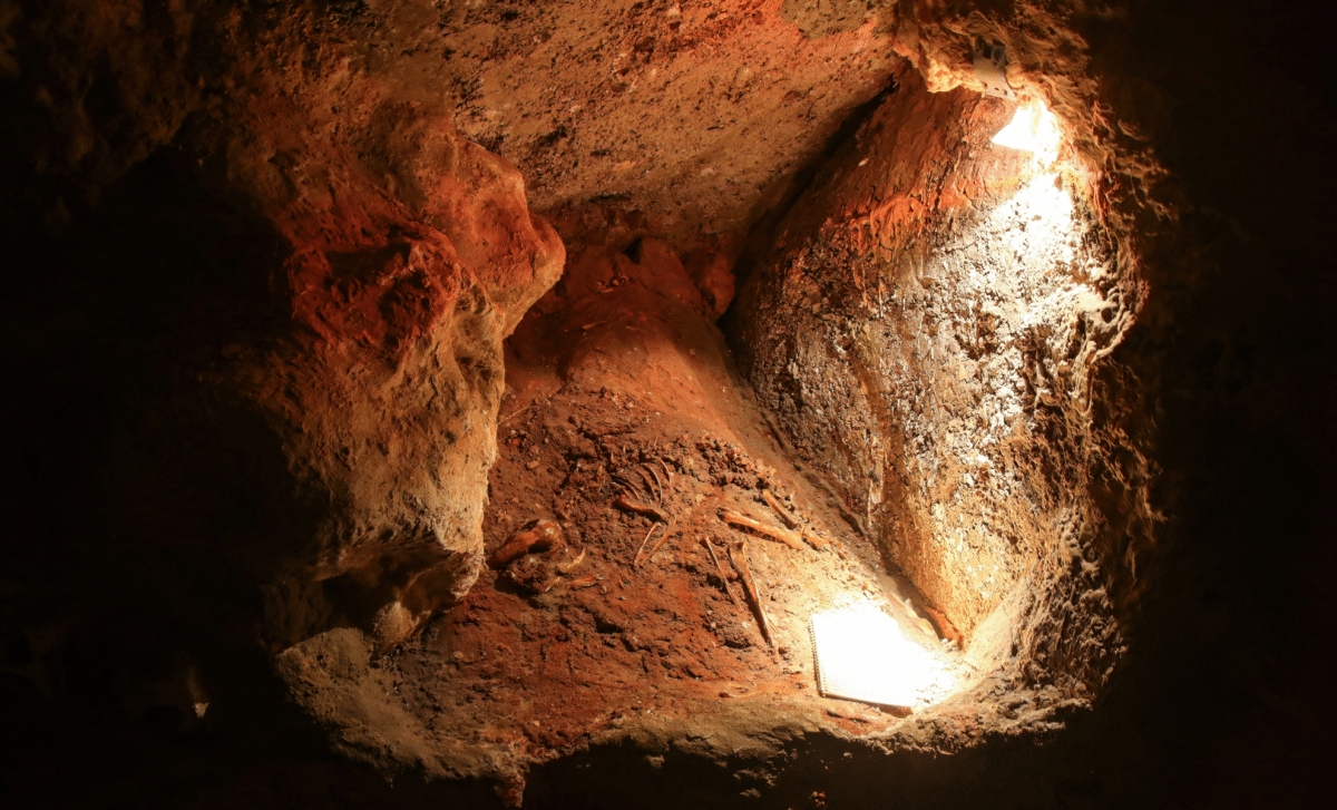 Archaeologists Discover Mysterious Collections of Animal Skulls in Neanderthal Cave