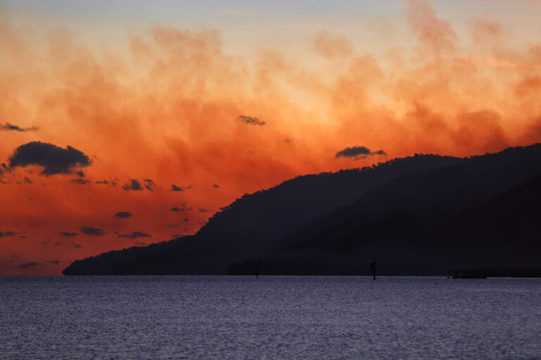 After logging bans, Australia turns to “forest thinning”. Does it reduce fire risk?