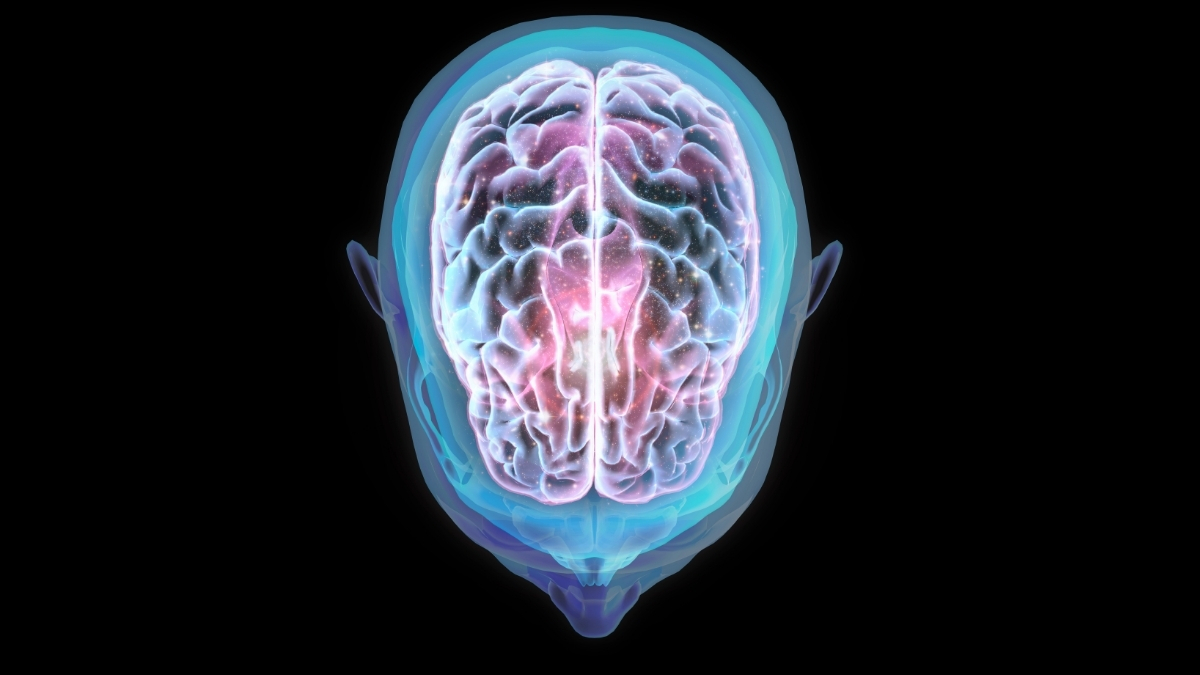 Spaceflight Can Alter The Position of The Human Brain, Study Finds : ScienceAlert