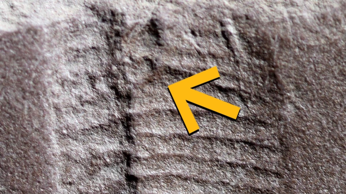 The Breaking Bad Effect, The Oldest Butthole, And More! : ScienceAlert