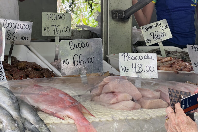 Mongabay shark meat exposé wins national journalism education award in Brazil