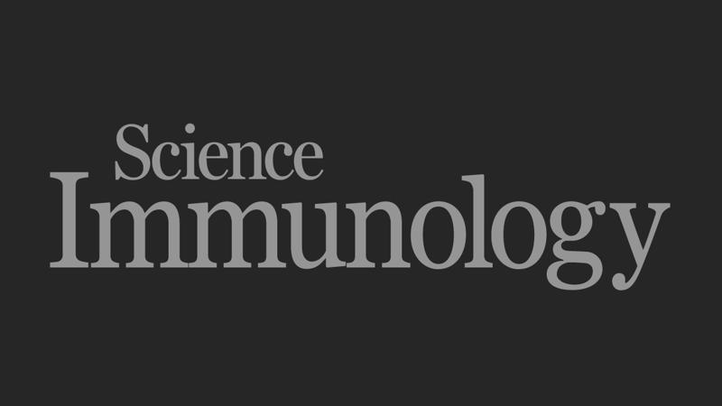 The dark side of the dot: How melanosomes dim T cell activity | Science Immunology