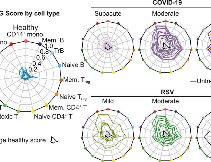 A systems immunology approach reveals divergent immune profiles of RSV and SARS-CoV-2 infections in infants | Science Translational Medicine