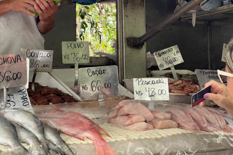 Brazil’s Rio de Janeiro bans shark meat in most state schools