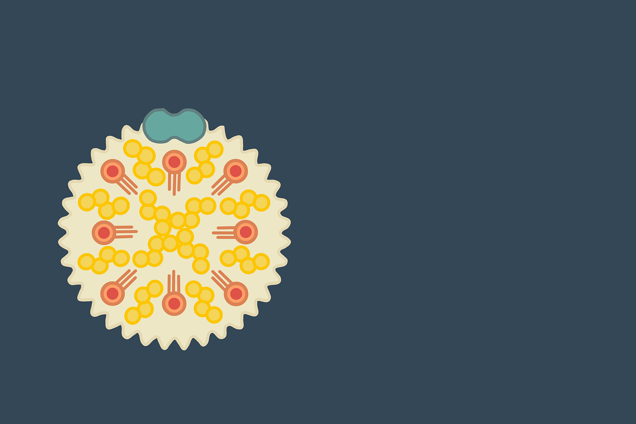 LDL, HDL, Triglycerides & Statins Explained