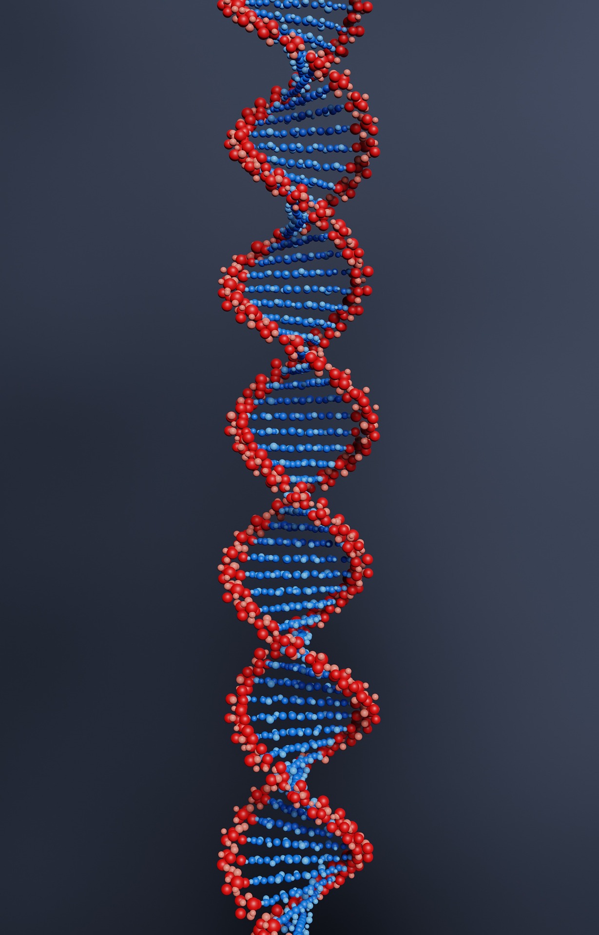 Cell Mutation Predicts Chemotherapy Response in Bladder Cancer
