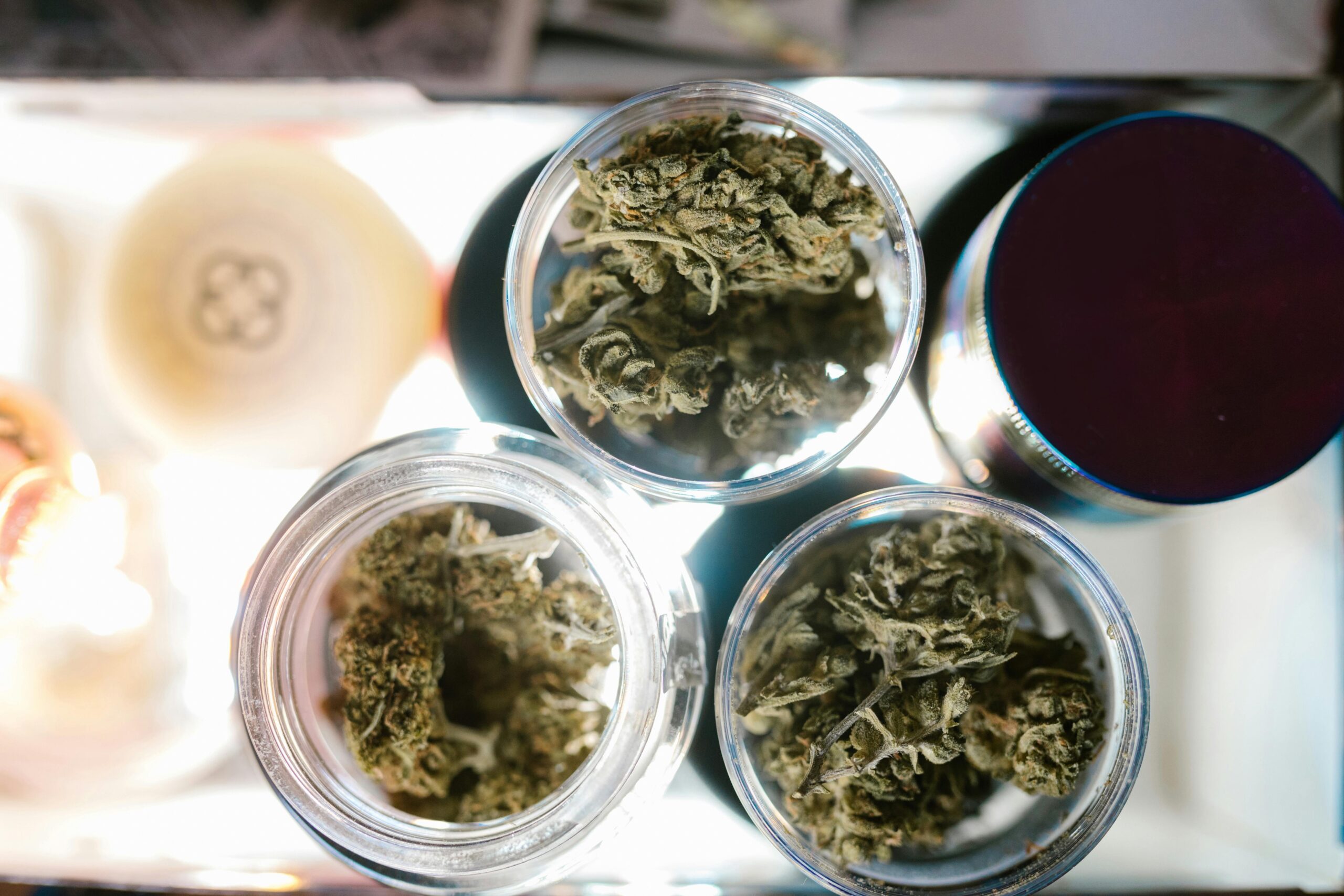 Study Features Standardized Language for Categorizing Cannabis Aromas