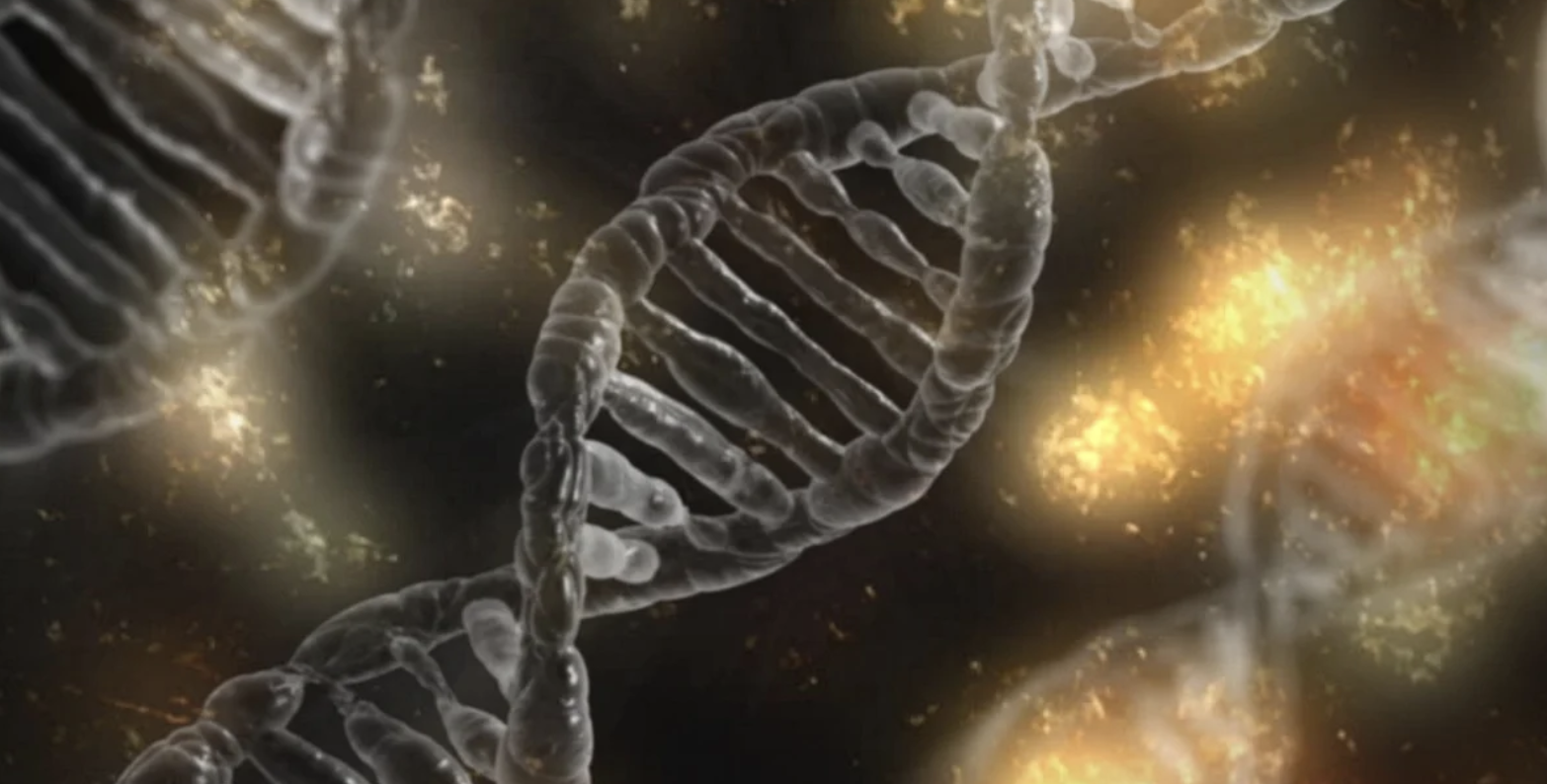 Why Many Human Conceptions Don’t Last Until Birth