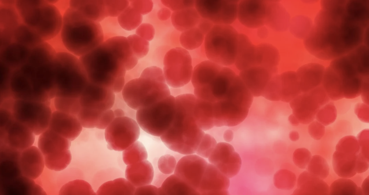 Albumin – A Blood Protein That Protects Us From Black Fungus