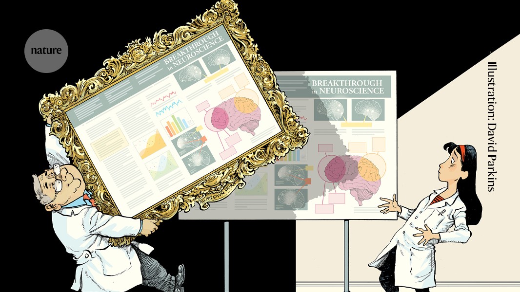 What can I do if my idea has been plagiarized?