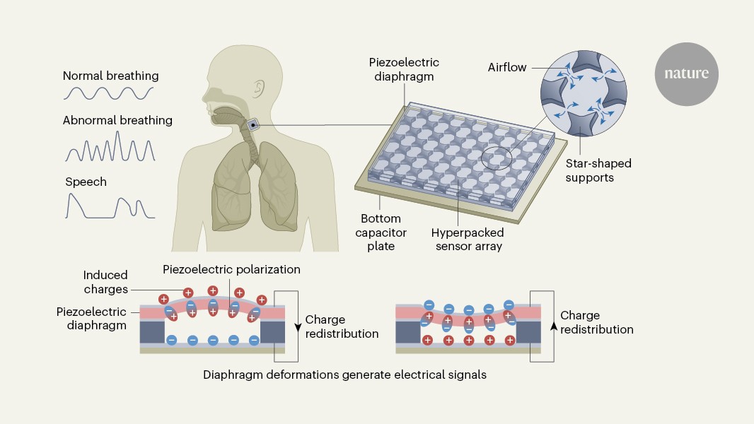 Self-powered vibration sensor for wearable health care and voice detection