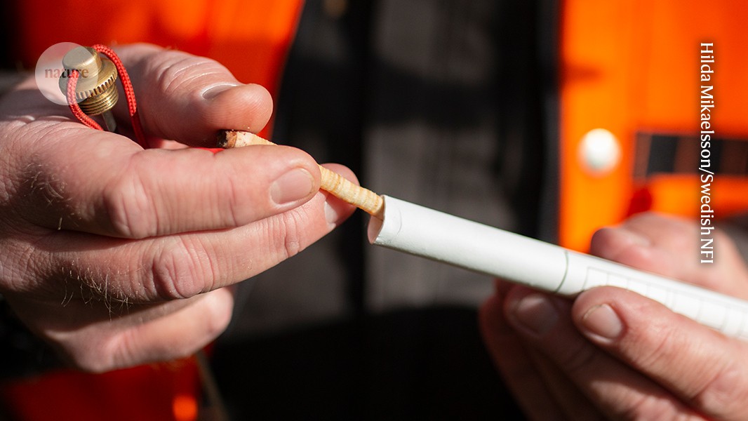 Forest soils are running short of nutrients as CO<sub>2</sub> emissions rise