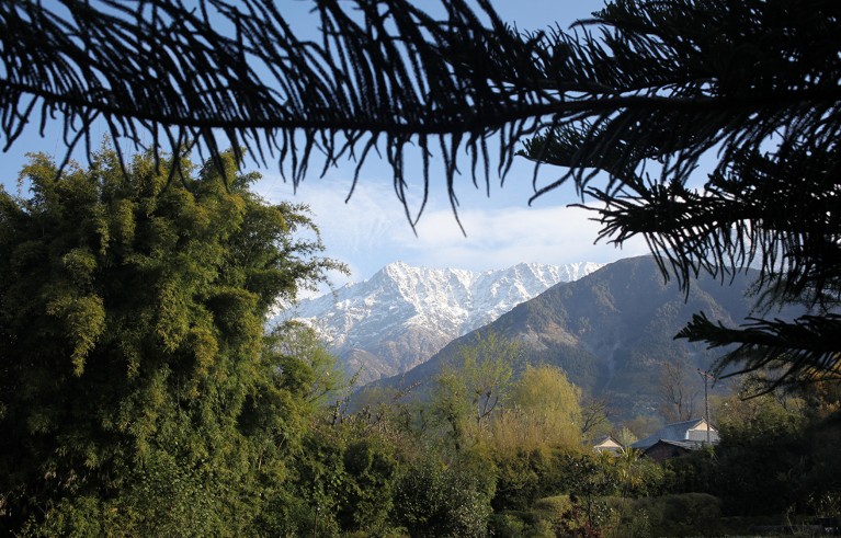 Biodiversity conservation has an evidence problem — it’s time to fix it