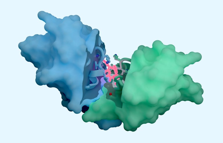 Biologists marvel at new AI drug discovery tool – but details are hidden