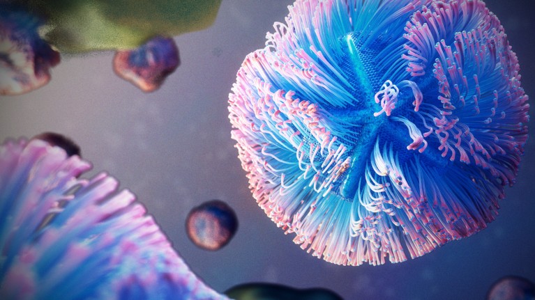 This giant virus hijacks cells’ protein-making machinery to multiply wildly