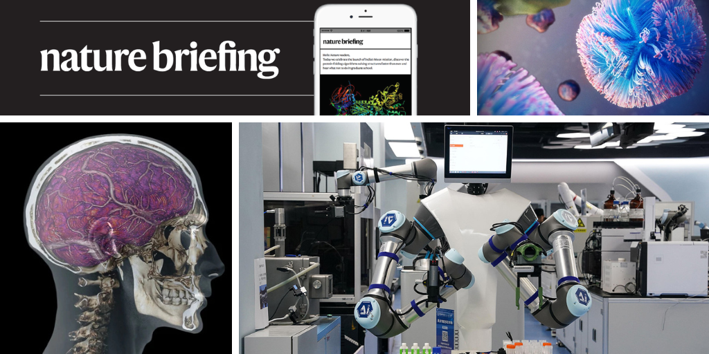 Automated robot ‘scientists’ spark debate over the future of lab work