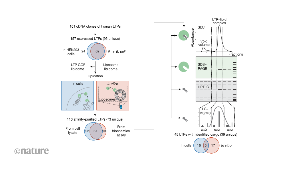 The protein carriers of hundreds of lipids have been identified