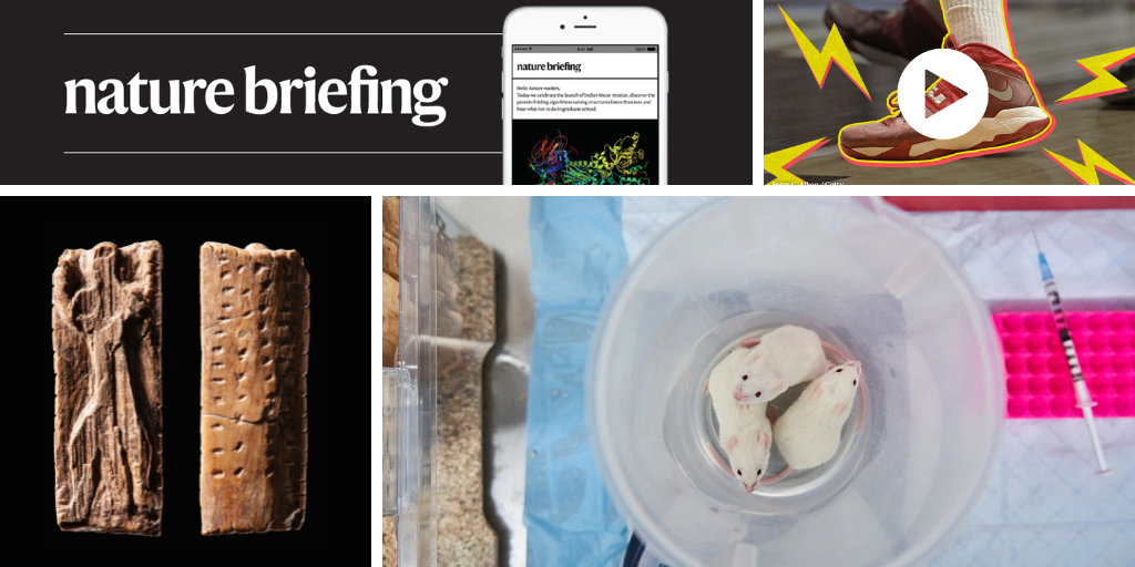 The new alternatives to animal testing