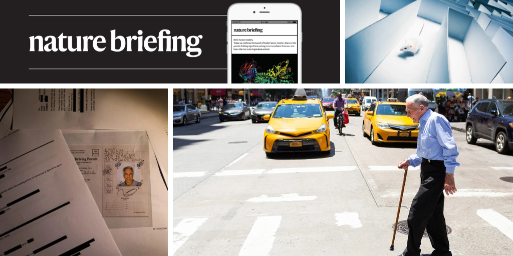 Stem-cell treatment strengthens people with age-related frailty