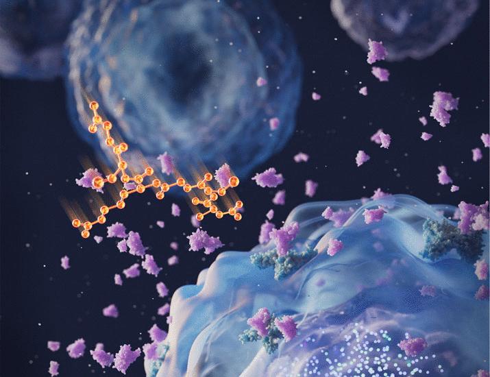 A peptide immunomodulator activates MST1 to expand and stabilize murine and human regulatory T cells for immune tolerance | Science Translational Medicine