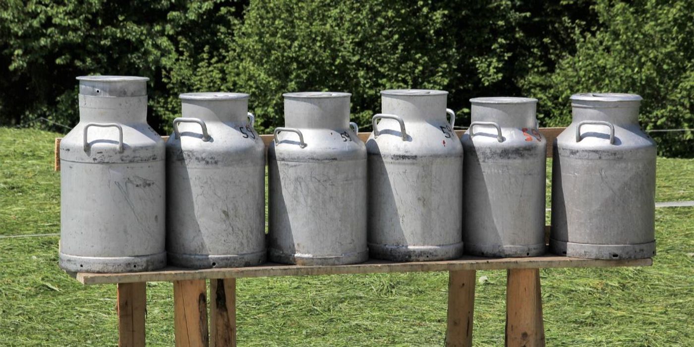 Kefir and Prebiotic Mix Reduce Inflammation