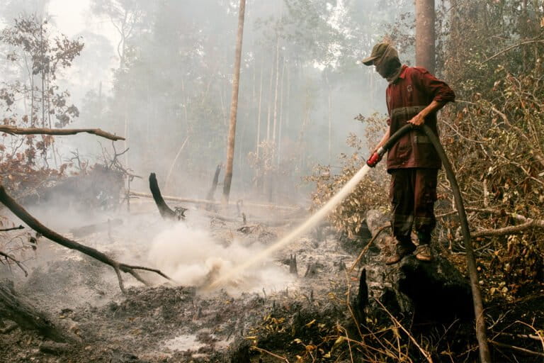 Thousands of peat fires flare across Indonesia despite rainy season