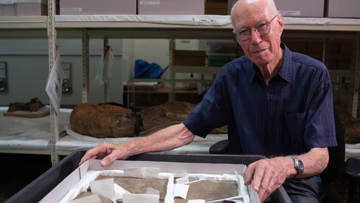 Teen discovers Australia’s oldest dinosaur fossil—almost 70 years ago