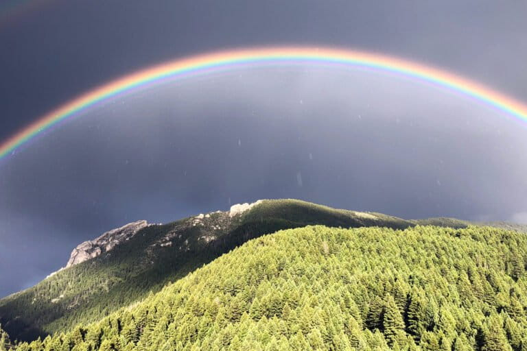 A hundred-year vision: Gary Tabor on the rise of large landscape conservation