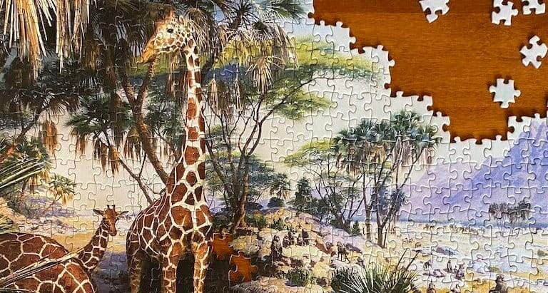 Conservation programs must embrace causal evidence when evaluating impact (commentary)