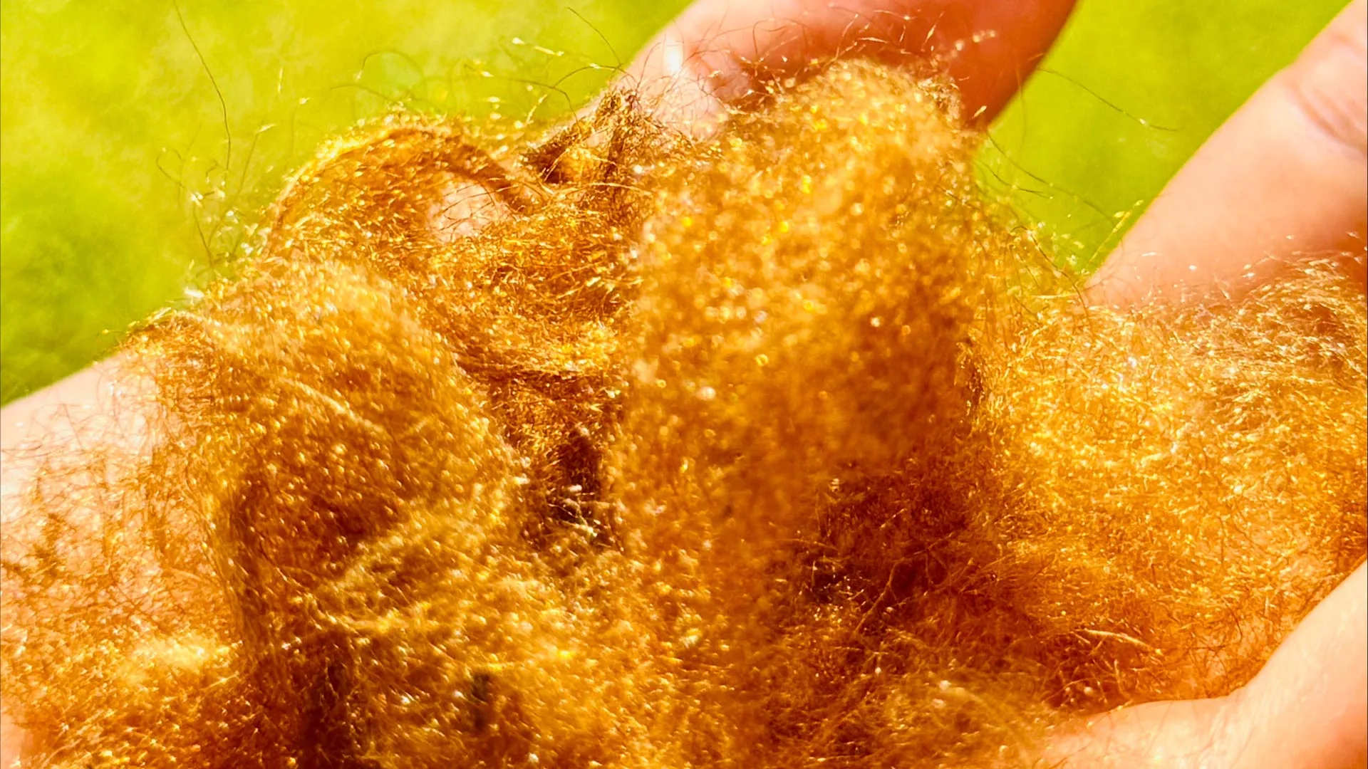 A legendary golden fabric lost for 2,000 years has been brought back