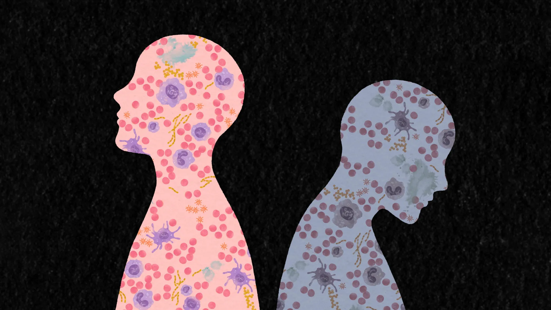 Scientists discover how life experiences rewrite the immune system