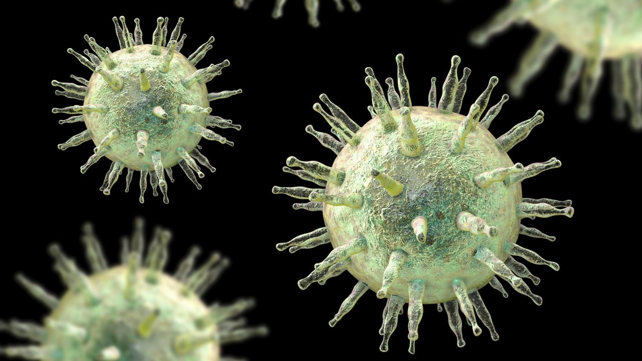 The ‘mono’ virus raises the risk of MS and cancer in some. 22 genes hint at why.