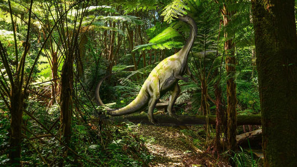 Small Triassic Dinosaur from Brazil Sheds New Light on Sauropodomorph Growth Strategies