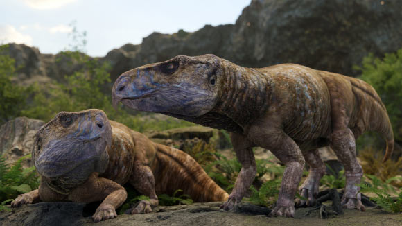Study: Europe’s Cretaceous Fauna Includes More Ceratopsian Dinosaurs than Previously Thought