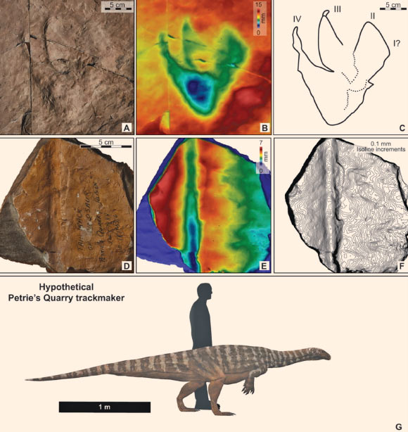 230-Million-Year-Old Dinosaur Footprint is Australia’s Oldest: Study
