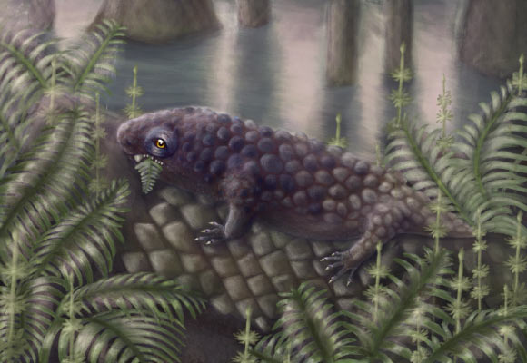 307-Million-Year-Old Fossil of Plant-Eating Land Vertebrate Found in Canada