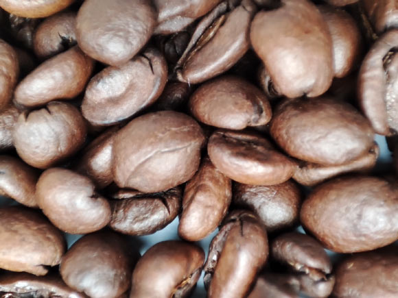 Moderate Caffeinated Coffee and Tea Consumption Can Lower Dementia Risk