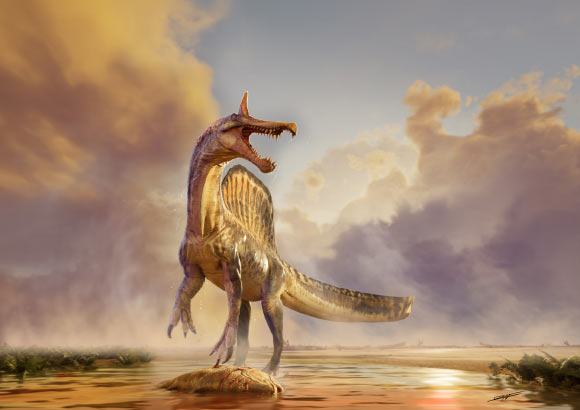 New Spinosaurus Species Discovered in Niger