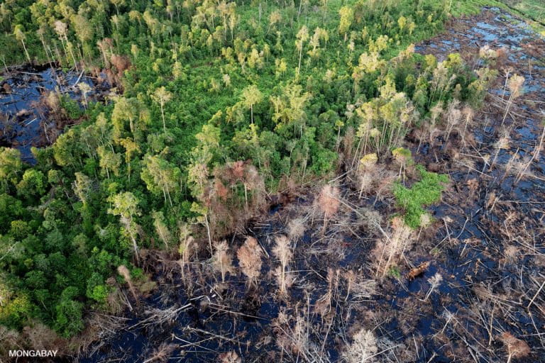 The fair costs for forest rehabilitation in Indonesia (commentary)