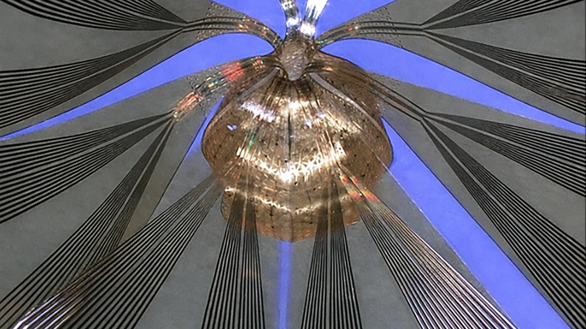 Soft 3D bioelectronic mesh maps 91% of mini brain neural networks