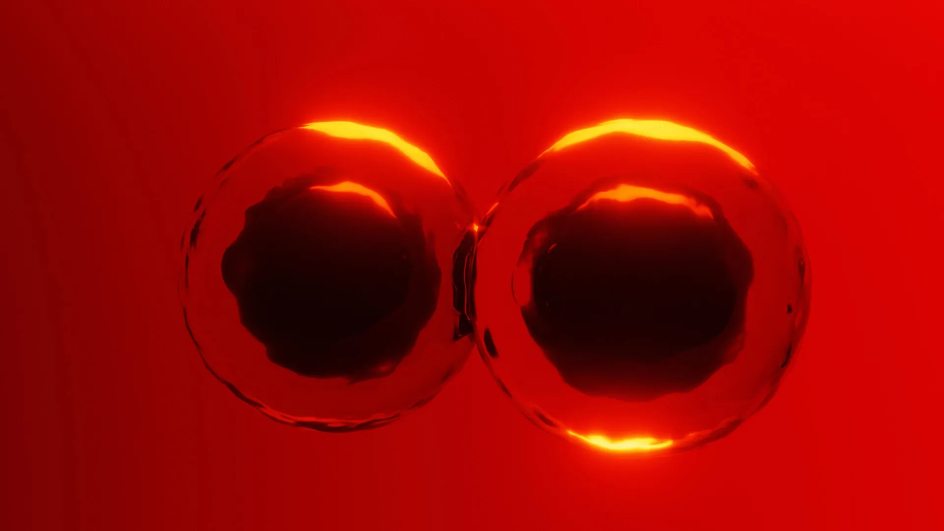 Textbooks challenged by new discovery about how cells divide