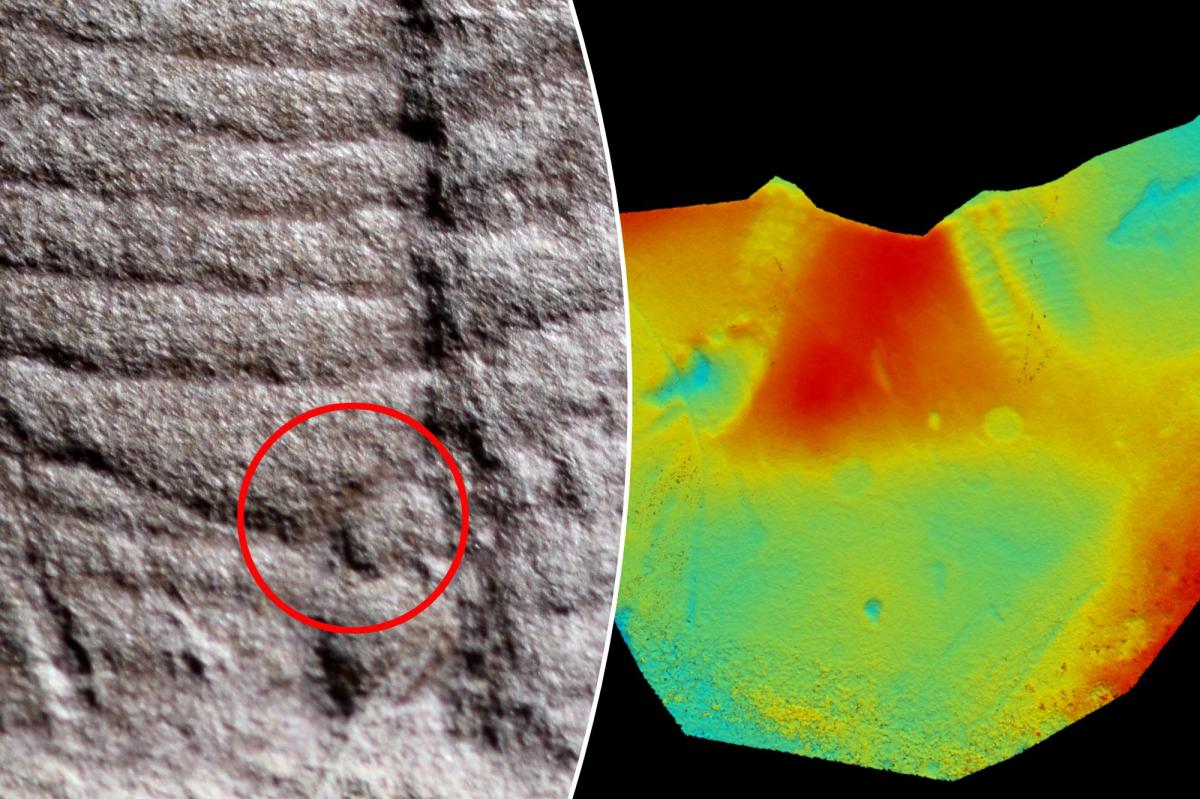 ‘Extremely rare’ fossilized anus discovered after 300-million-years