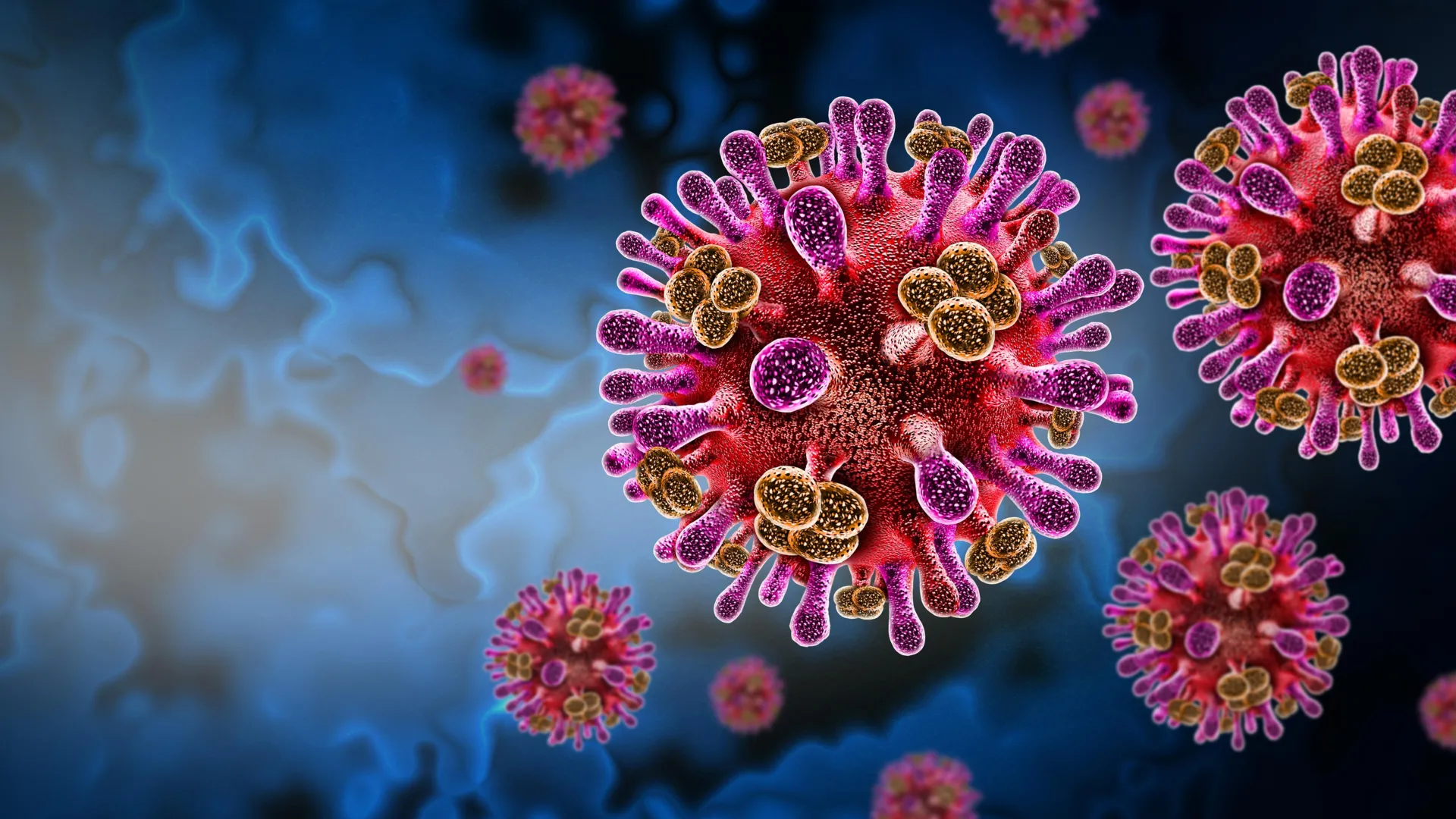 A hidden bat virus is infecting humans