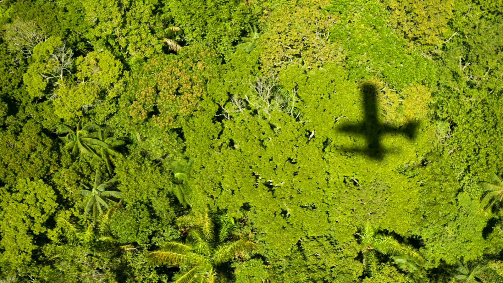 ‘It’s similar to how Google can map your home without your consent’: Why using aerial lasers to map an archaeology site should have Indigenous partnership