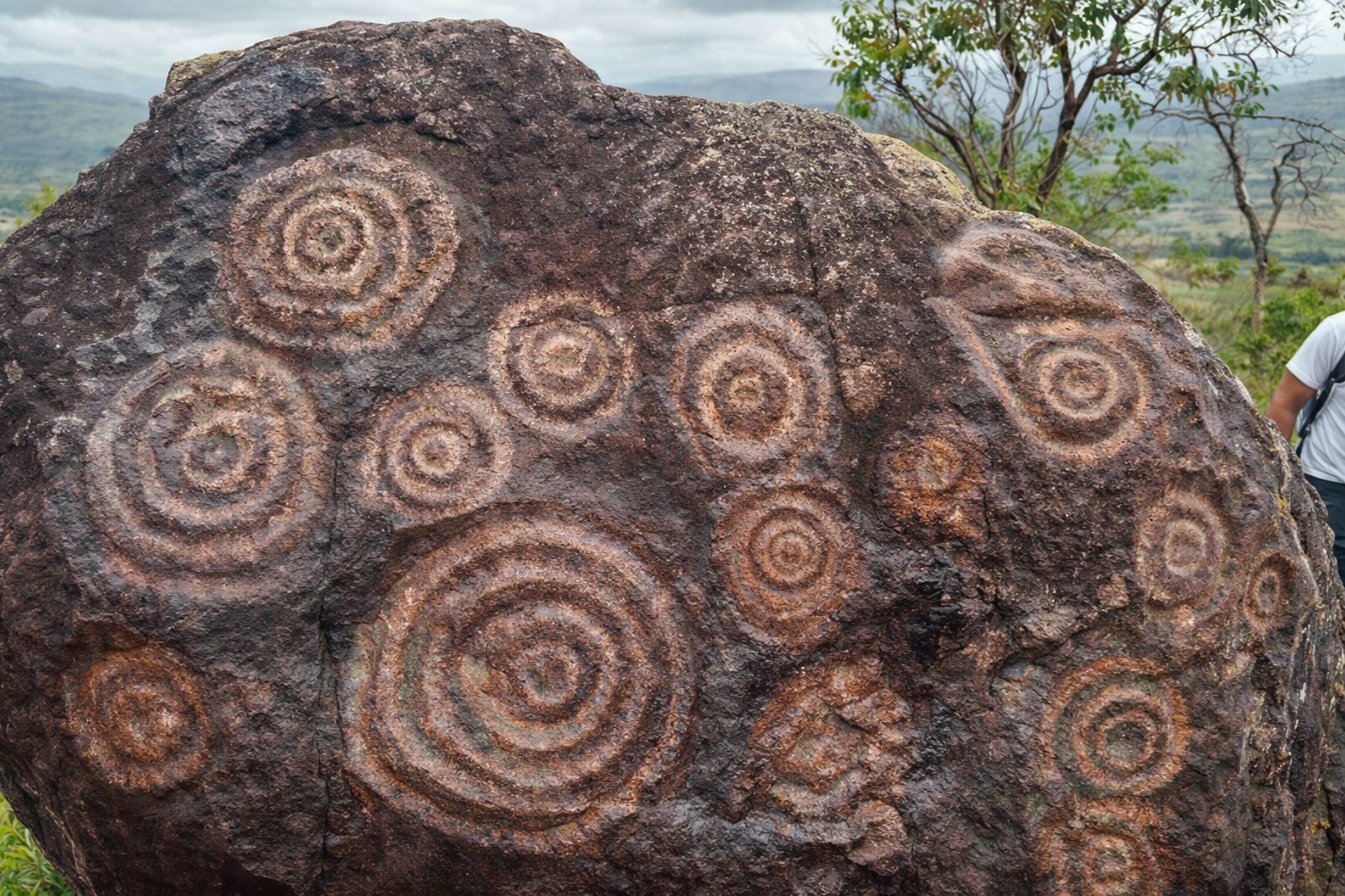 Petroglyphs found in Monagas are 8,000 years old