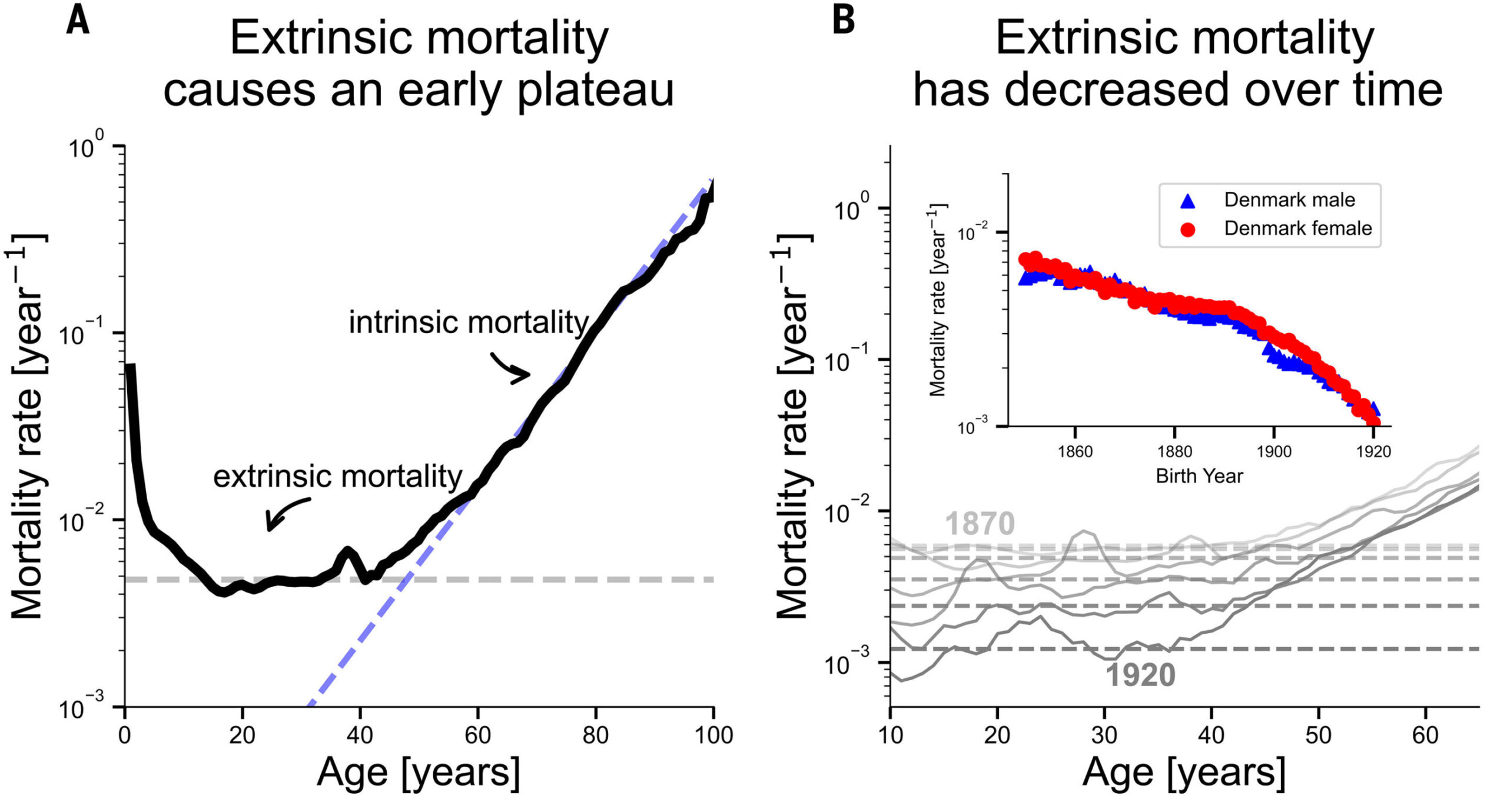 Rethinking longevity: Genes account for 50% of human lifespan variation, study suggests