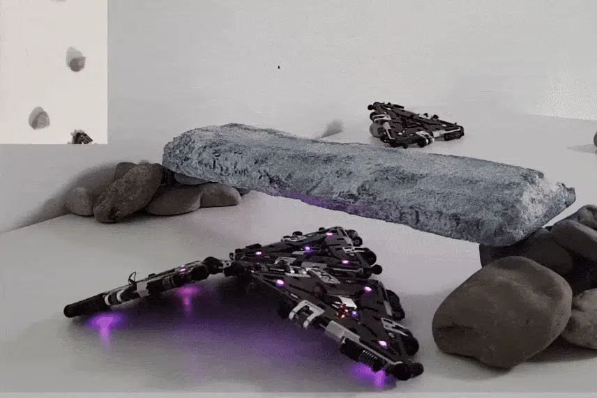 Robot Collective, Atlas Acrobatics, and More Videos